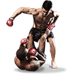 Võ tổng hợp FUN88
